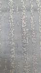 IMG20250705170151