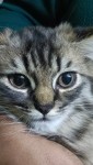 IMG20250714215234