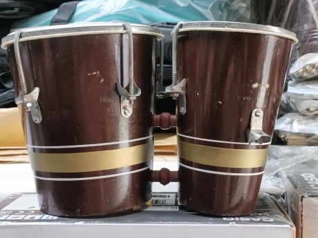 Bongo
