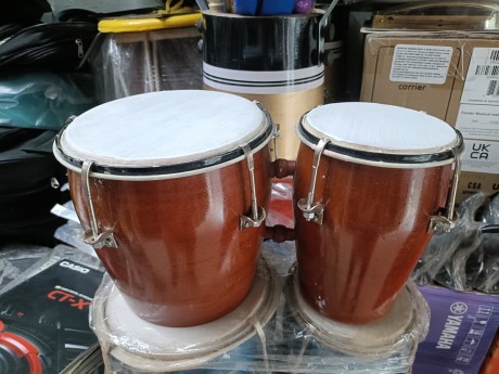 Bongo