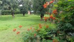 IMG20250728110248