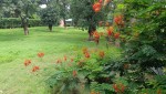 IMG20250728110246