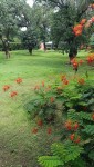 IMG20250728110241