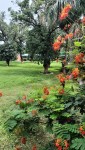 IMG20250728110236