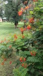 IMG20250728110224