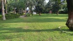 IMG20250727171147