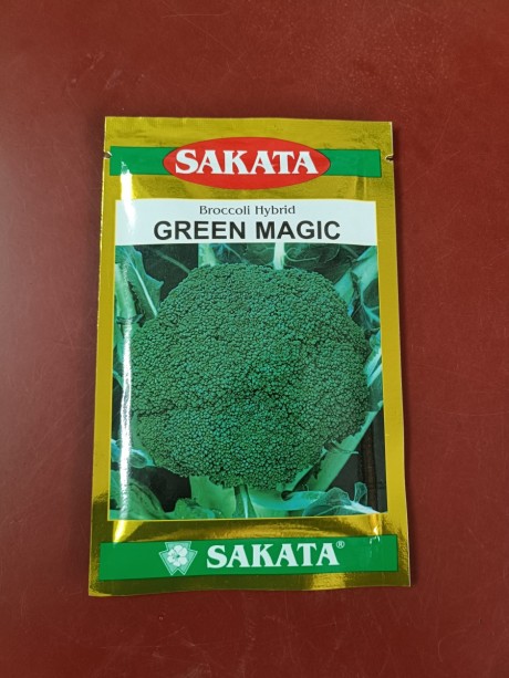 Green magic broccoli seeds