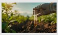 Soil Testing