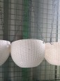 Hanging basket