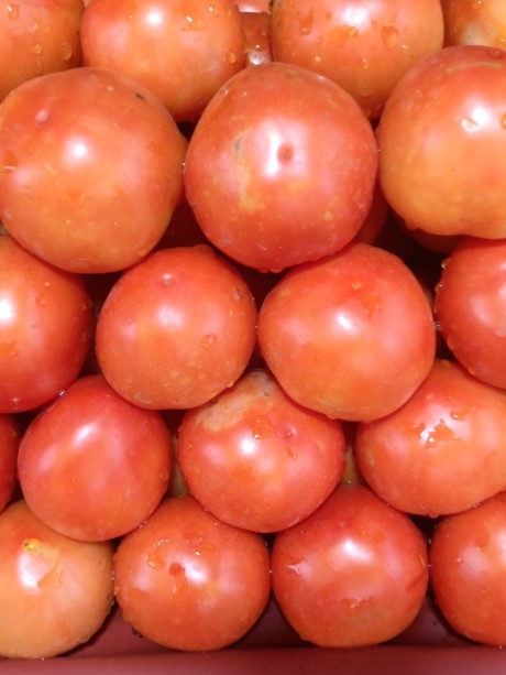 Red Tomato - tamatar (per KG)