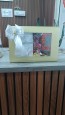 Gift hamper (chocolate+cookies+brownie) (Copy) (Copy)