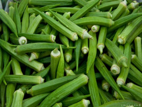 Bhindi - 1 KG