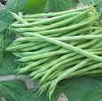 Beans 1 KG