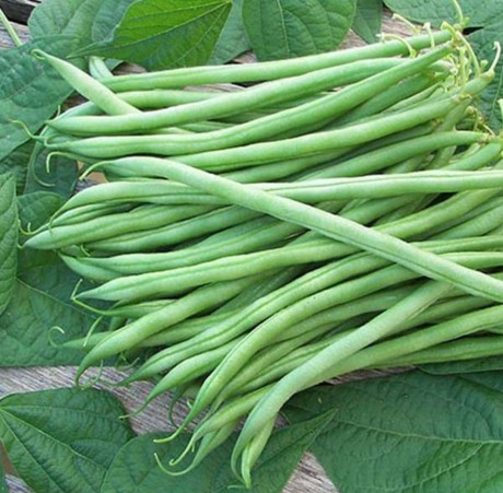 Beans 1 KG