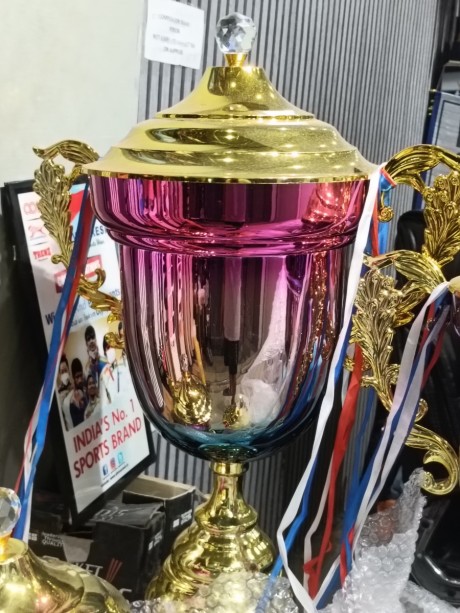 Fancy Trophy