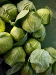 Green Cabbage (हरी पत्तागोभी)