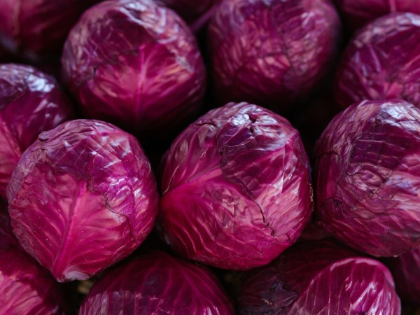 Purple Cabbage (बैंगनी या लाल पत्तागोभी)