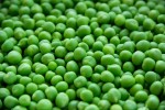 Green Frozen Peas (Frozen हरी मटर)