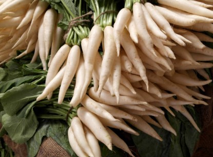 Raddish (मूली)