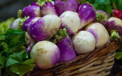 Rutabaga (शलजम)