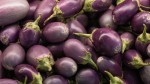 Brinjal Round Shaped (गोल बैंगन) 500 gm
