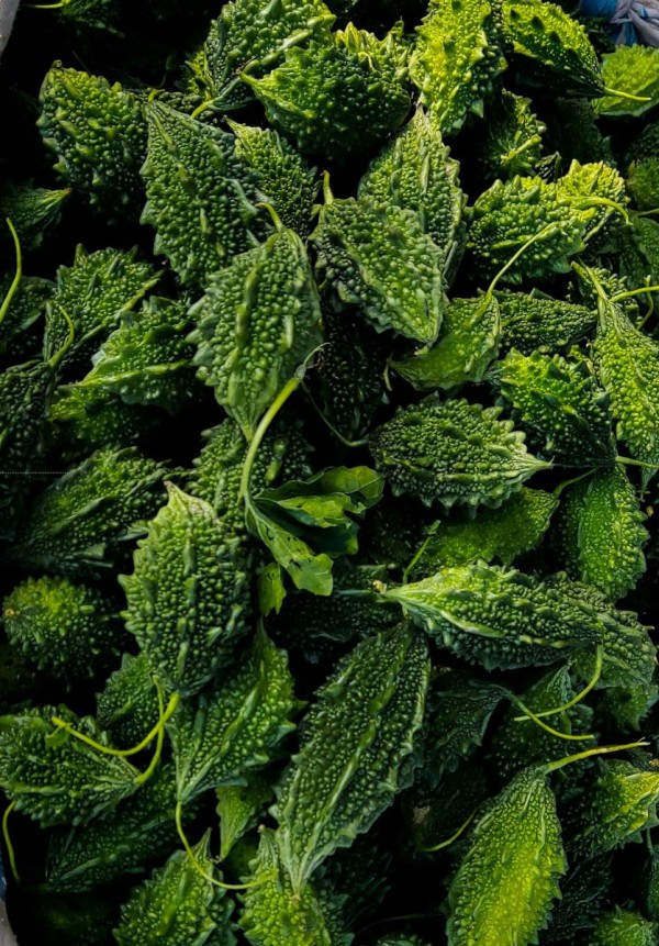 Bitter gourd (करेला) 250 gm