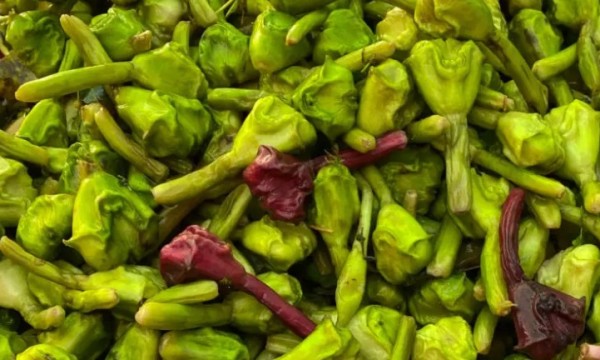 Water Chestnut (सिंघारा) 500 gm