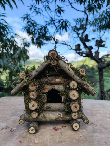Bird house