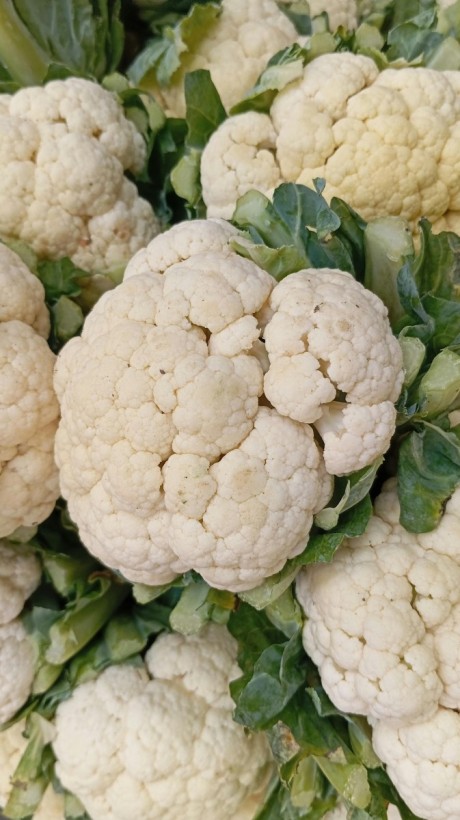 Cauliflower (फूलगोभी) 1 Pc (300-500 gm)