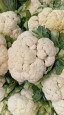 Cauliflower (फूलगोभी) 1 Pc (300-500 gm)