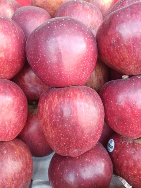 Apple kinnor (himachal) ( 1 KG)