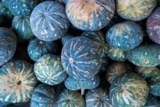 Pumpkin (कद्दू) 500 gm