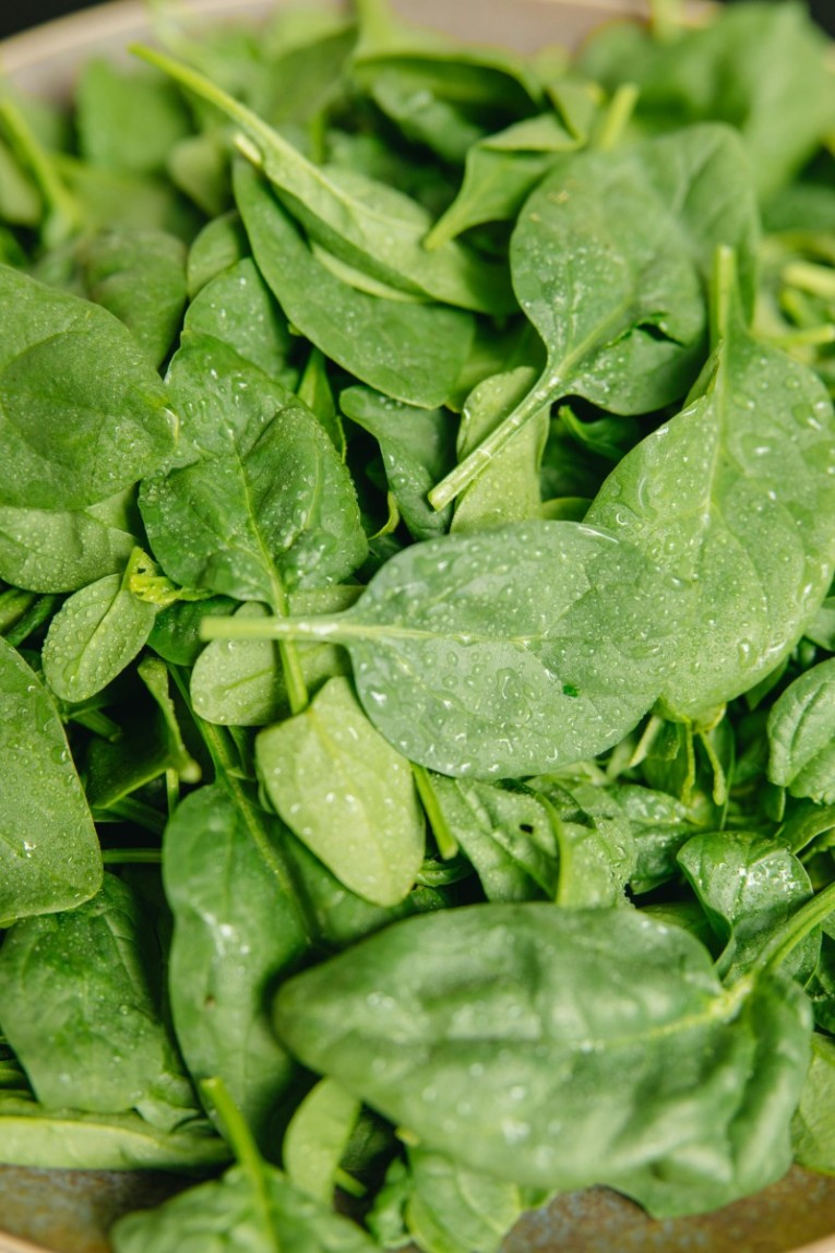 Spinach-E0A4AAE0A4BEE0A4B2E0A495.jpg