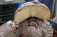 Yam (सूरन) 250 gm