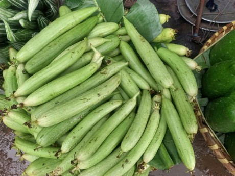 Sponge Gourd (नेनुआ) 500 gm