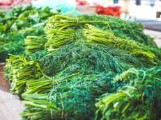 Dill leaves (सोया साग) 250 gm