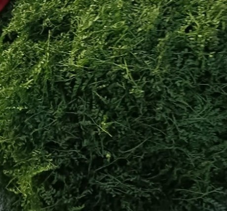 Chana Saag (चना साग) 250 gm