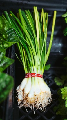 Green Onion (हरी प्याज) 150 gm