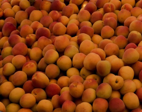 Apricot (खुबानी) (1 Kg)