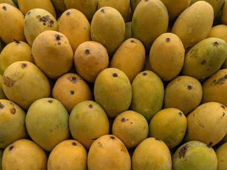 पका आम (Ripe Mango) 1 Kg