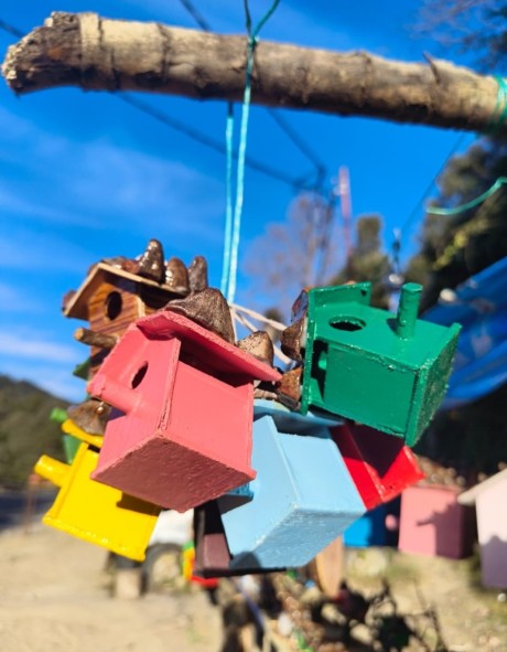 Keychain bird house