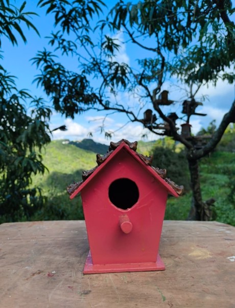 Bird house
