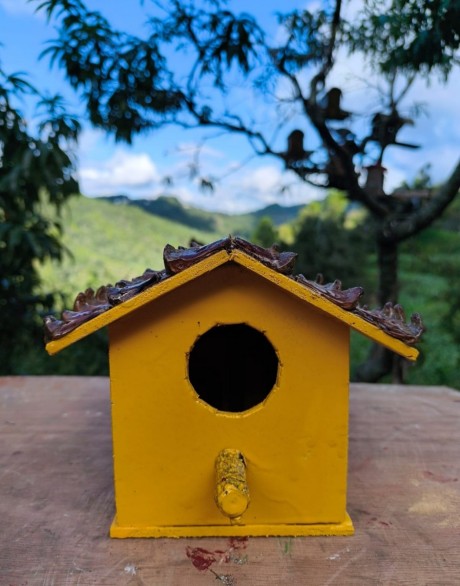 Bird house