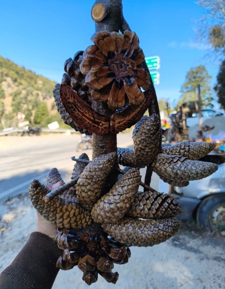 Pinecone jhumar