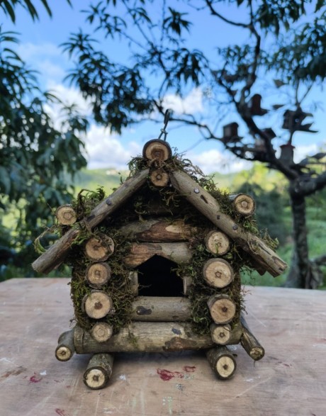 Bird house
