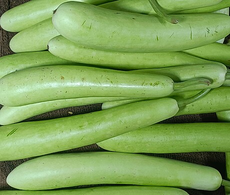 लौकी (LaukiBottle Gourd) 1 Pc (500 gm)
