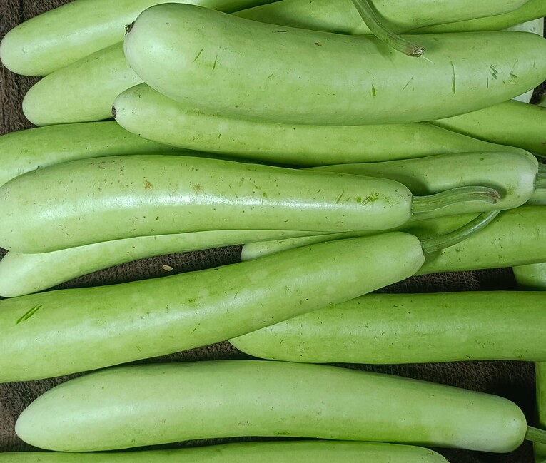 लौकी (LaukiBottle Gourd) 1 Pc (500 gm)