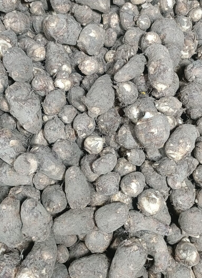 अरबी (Taro root) 500 gm
