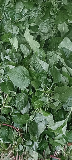 250 gm हरा चौलाई के पत्ते (Green Amaranth leaves)