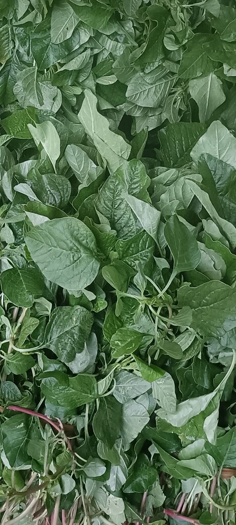 250 gm हरा चौलाई के पत्ते (Green Amaranth leaves)